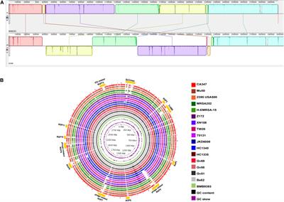 Local Diversification of Methicillin- Resistant Staphylococcus aureus ST239 in South America After Its Rapid Worldwide Dissemination